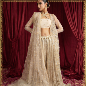 royal beige festive wear